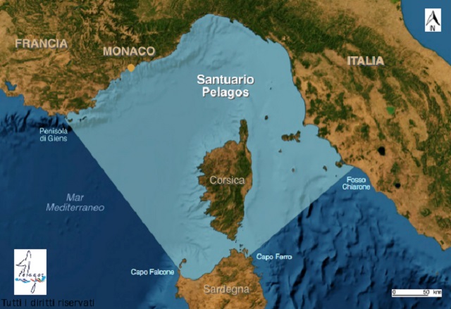 Santuario Pelagos… un Mare da amare