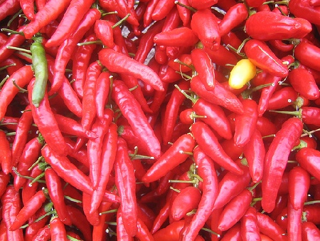 Diavulicchiu…se lo chiamano così in motivo ci sarà