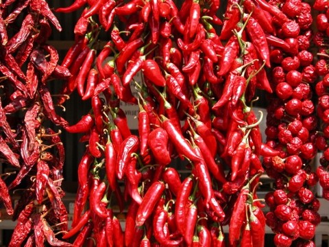 A Milano la mostra del peperoncino più hot