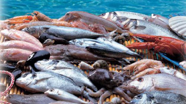 Inizia il fermo pesca in tutto l’Adriatico