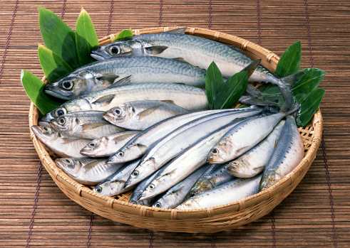 Le verità sul pesce in scatola