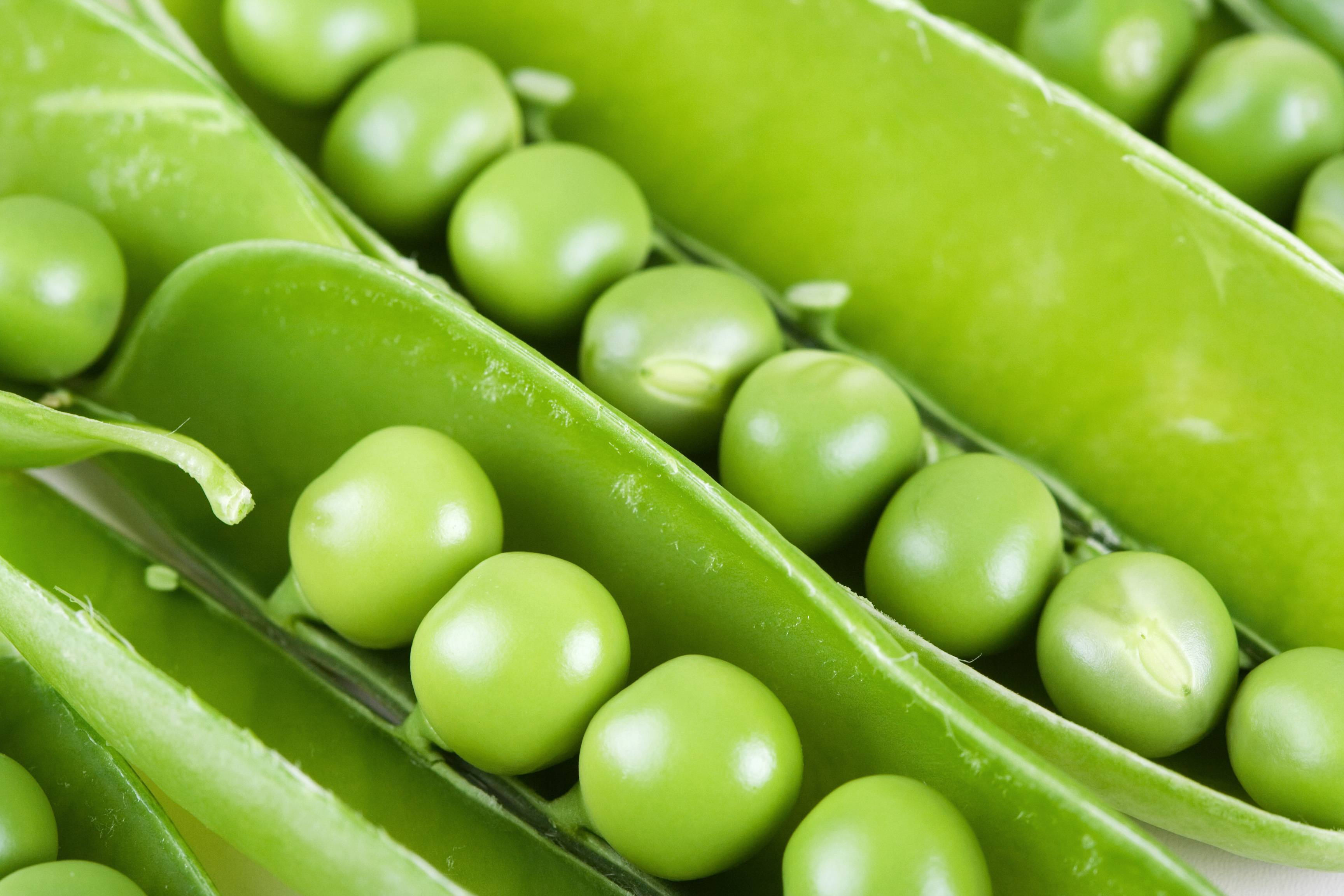 Cucina di primavera.  La Frittella (frittedda) siciliana