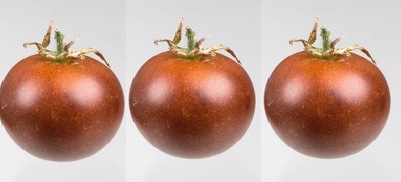 Il pomodoro ‘bronzeo’ per alleviare i sintomi delle infiammazioni croniche intestinali