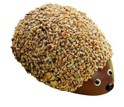 Bontà Pasquali
