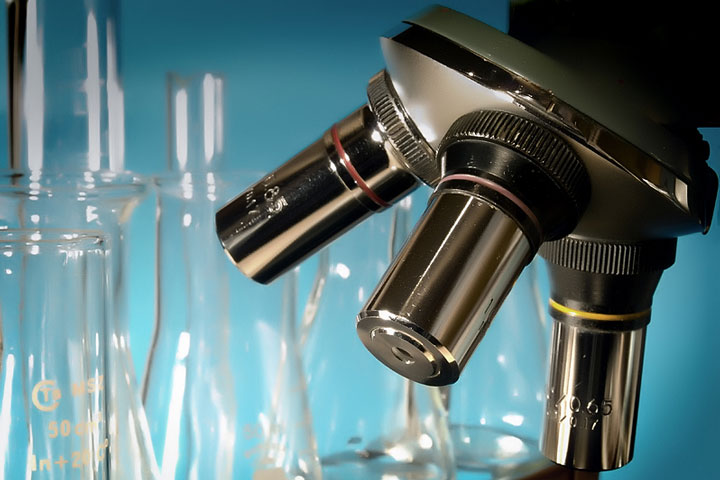 Uno studio cerca nell’intestino batteri giusti per capire segreto longevità