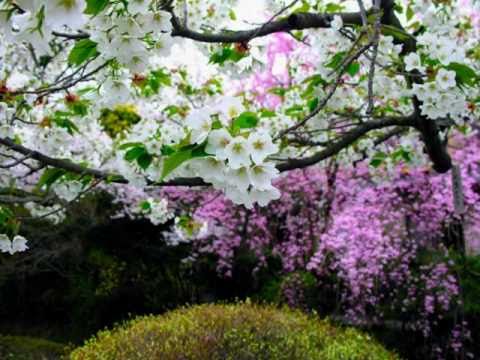 Arriva la primavera ma per sei italiani su 10 è “crisi da risveglio”