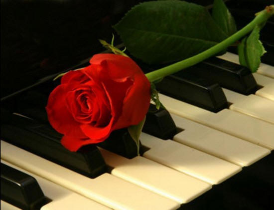 San Valentino. Stravolgila di rose