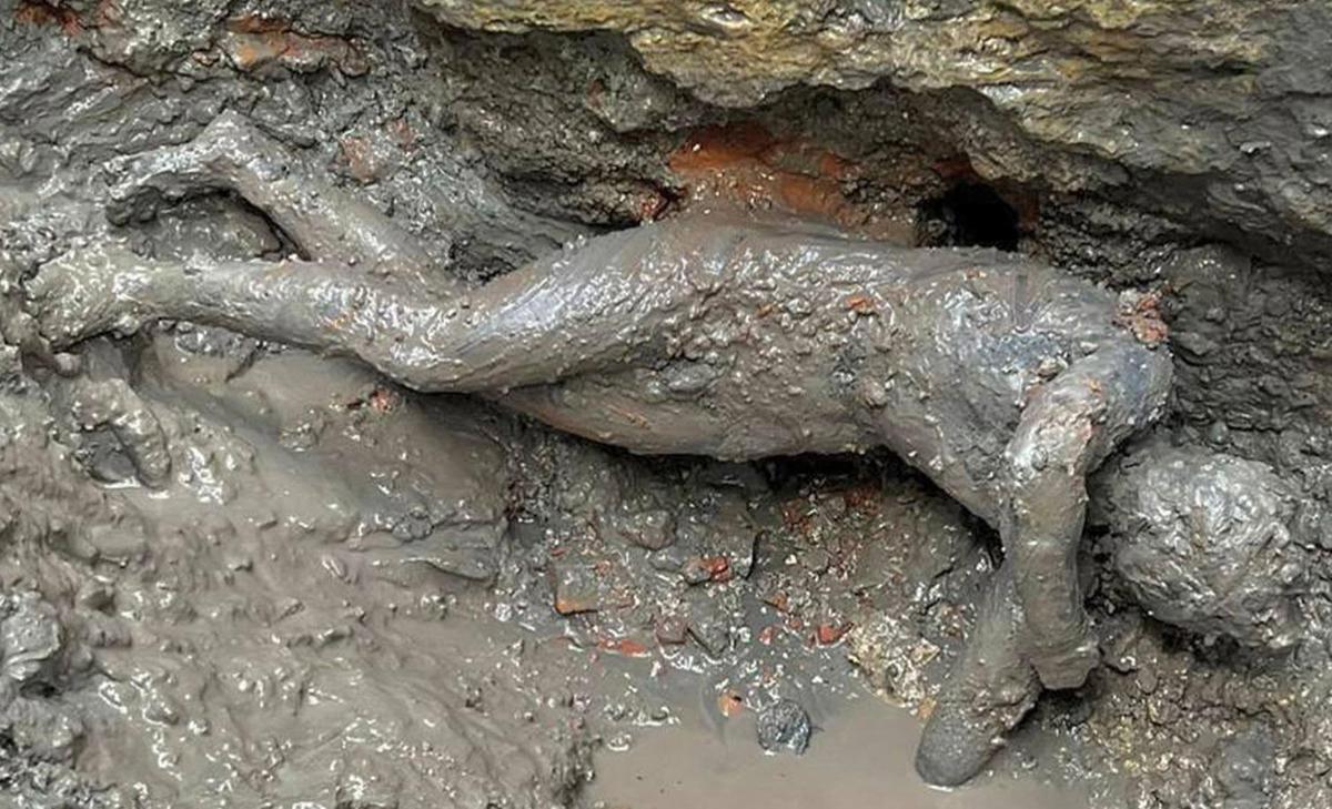 24 bronzi scoperti a San Casciano nelle terme di Etruschi e Romani
