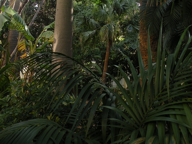 La splendida vegetazione del Giardino di Villa Angerer