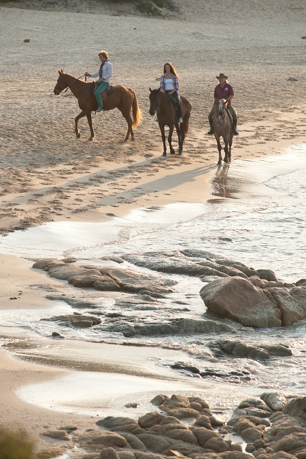 Sardegna. Dune, mare e cavalli