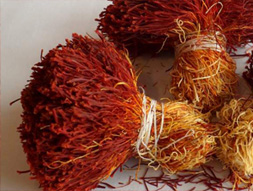 Zafferano vero, l’oro rosso da conoscere e riconoscere