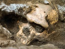 Skull 5: Il Teschio che Rivoluziona la Storia