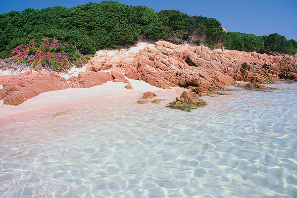 ” ISOLA DI SPARGI ADDIO ! ”