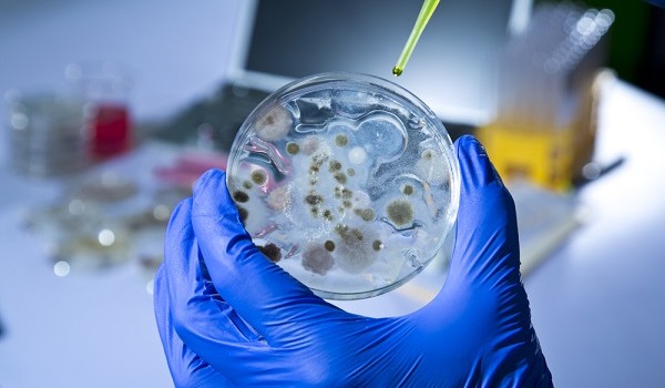 Scoperti batteri resistenti ai farmaci