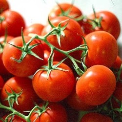 Arriva il superpomodoro antinvecchiamento
