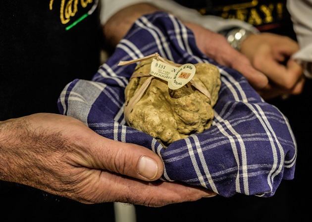 Tutto pronto per l’88 Fiera Internazionale del Tartufo Bianco d’Alba