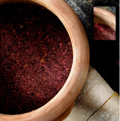 La Terracotta e il Vino 2016