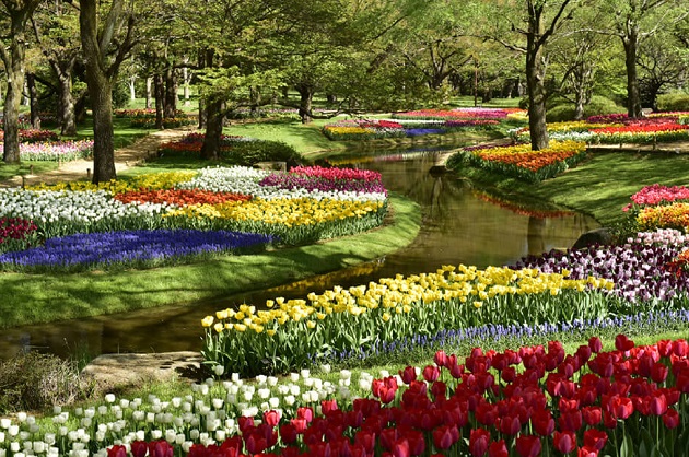 A Tokyo prende vita Spring Festival 2019