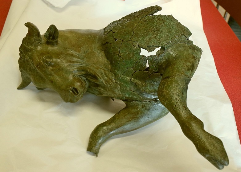 Il Toro cozzante del Museo della Sibaritide a Torino