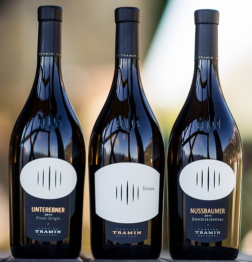 Alla Cantina Tramin parlano i profumi