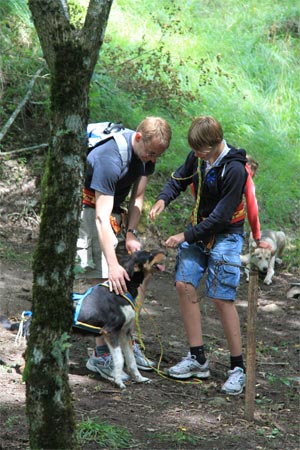 Il Trekking? Si fa a 6 zampe!