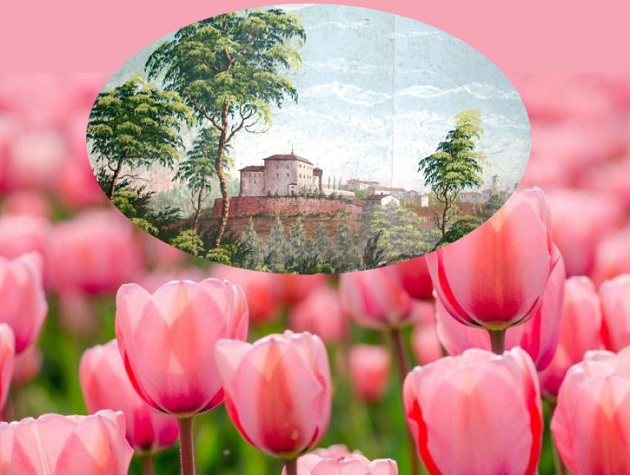 Il Parco si tinge di Rosa