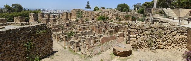 Viaggio tra le rovine archeologiche di Tunisi e Cartagine