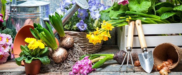 Giardino, orto, campagna, animali: piaceri da coltivare. A Verdi Passioni prove di primavera