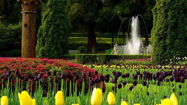Festa delle Bulbose ai giardini botanici di Villa Taranto