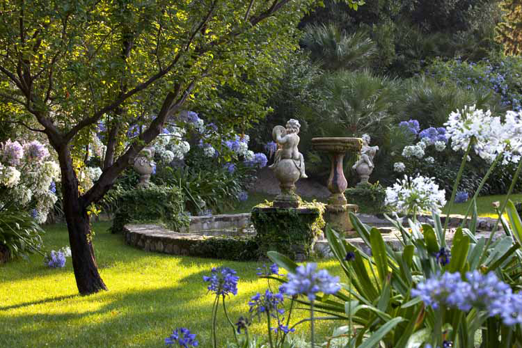 Le fioriture di luglio a villa della Pergola: i fiori di loto e gli agapanthus tardivi