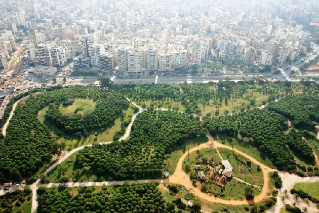 Al via la prima edizione del World Forum on Urban Forests