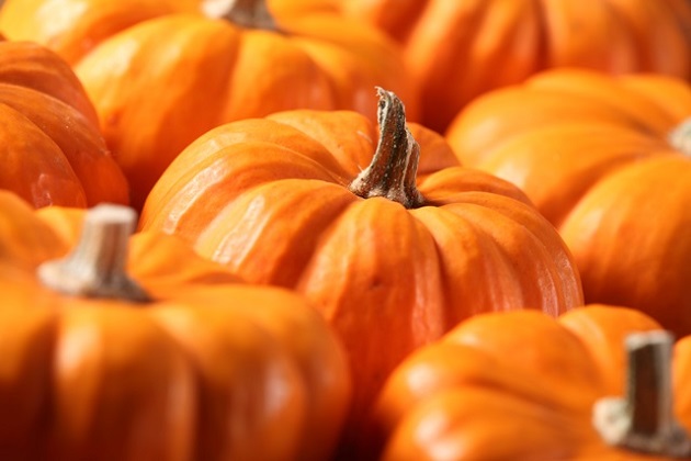 La zucca ti fa bella